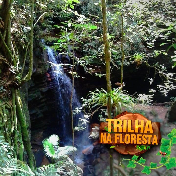 Hotel Fazenda Selva do Mato Limpo Parapeúna Esterno foto
