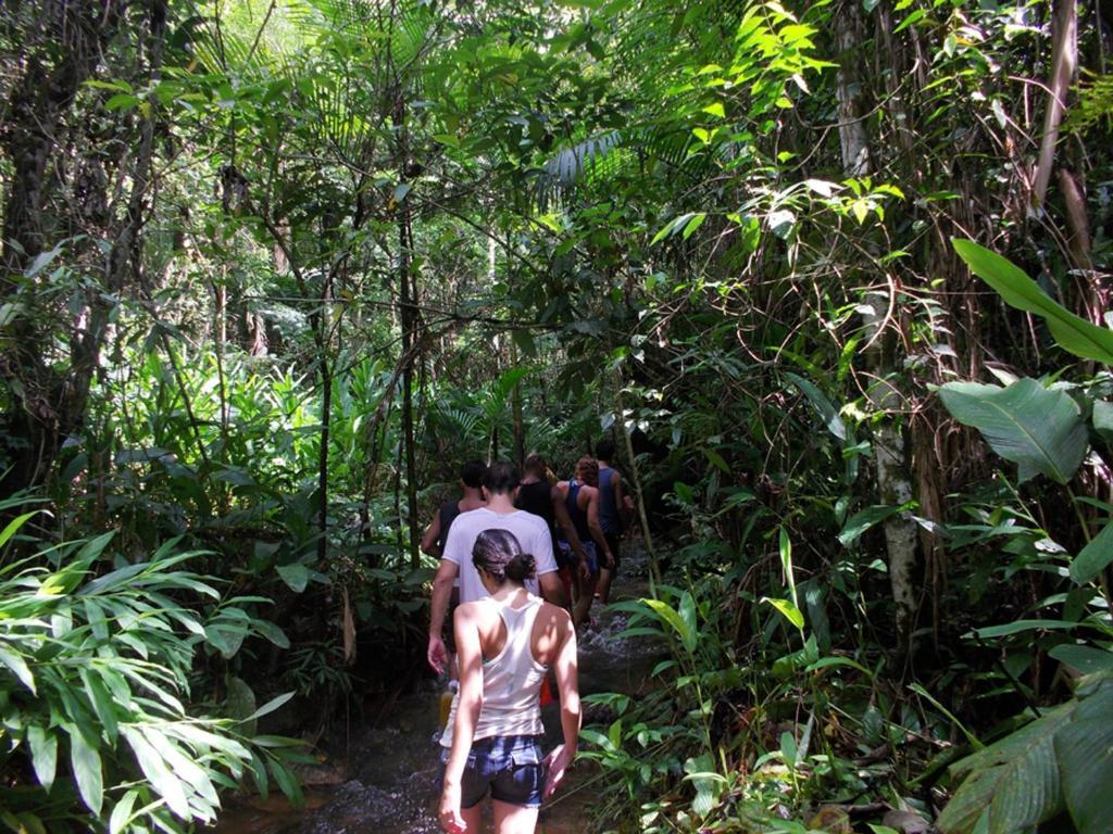 Hotel Fazenda Selva do Mato Limpo Parapeúna Esterno foto